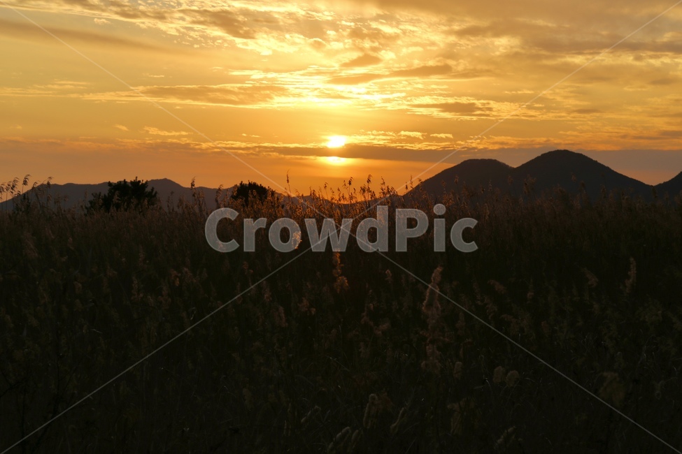 자연,nature,붉은하늘,redsky,sunset,일몰,갈대밭노을