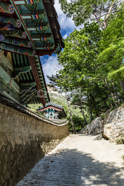 삼천사,고찰,사찰,문화재,기와담장,돌담길,단청,전통건축,고건축,풍경,한국전통,한국문화,korean traditional,korean culture