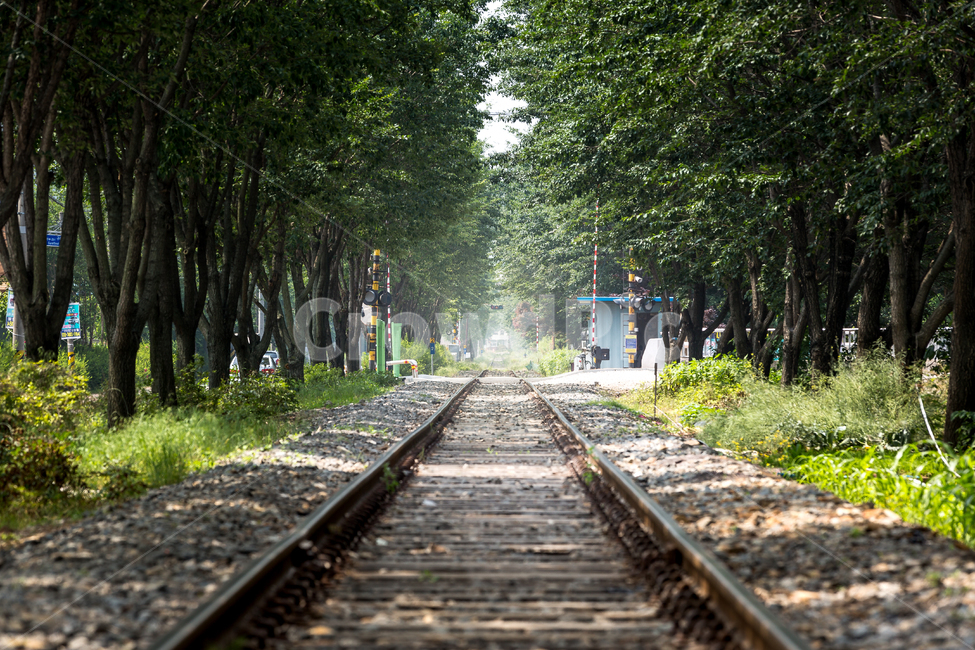기차길,철길,철로,폐역,기차,자연,풍경,nature,landscape,교통,교통수단,traffic,transportation,railway,철도,train track,기찻길,rail,레일