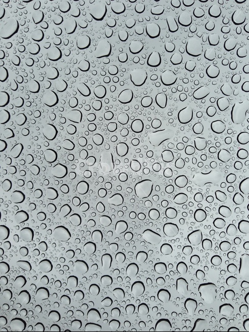 비,빗물,맺힘,물방울,빗방울,raindrop,raindrops,waterdrop,rain