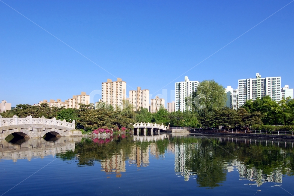 아파트,호수,공원,호수공원,숲,자연,다리,주택,집,환경,도시,반영,한국,apartment,lake,park,도시,풍경,city,landscape,한국도시풍경,한국도시경관,korea cityscape,town,urban,어반,high rise,고층 건물,building,건물,시티
