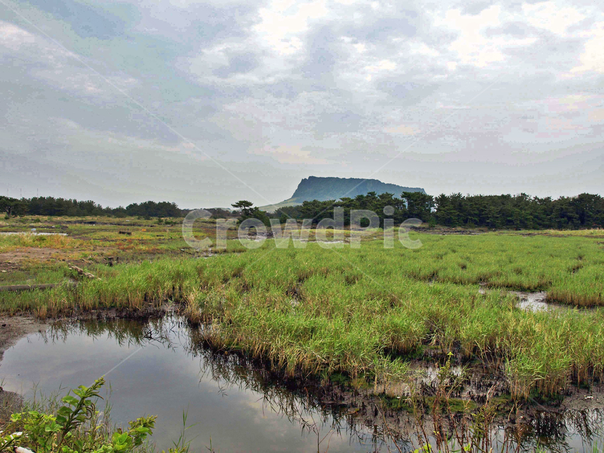 성산일출봉,내수면둑방길,내수면,제주,올레2코스,서귀포시,둑,슾지,자연,풍경,nature,landscape,한국자연풍경,한국자연경관,korea nature landscape,제주도,jeju,jeju island,outdoors,옥외,land,땅,water,물