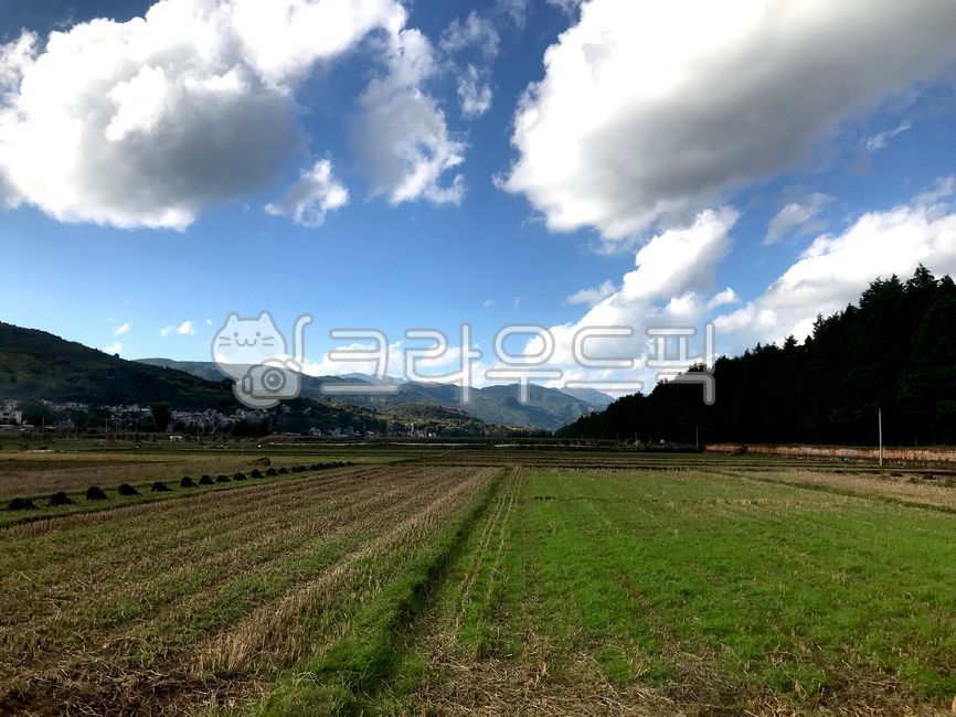 가을,바탕화면,배경,밭,자연,하늘,가을하늘,추수,날씨,nature,weather