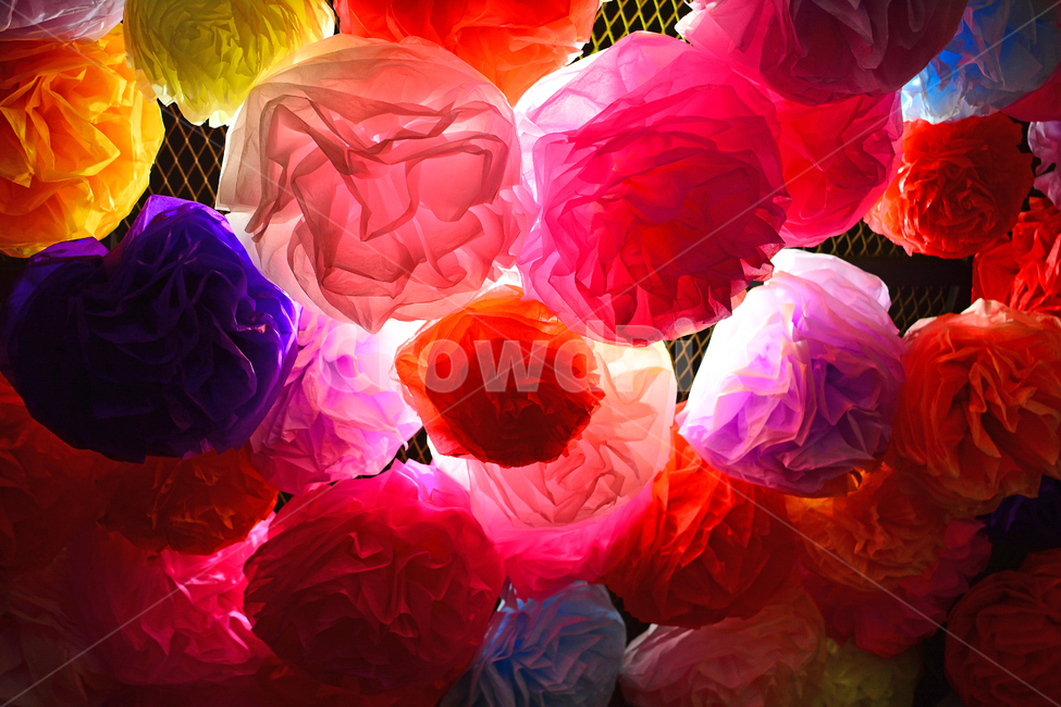 종이,플라워,flower,색상,색감,채도,그라데이션,겹치다,레이어,layer,환상적인,감성,필,느낌,분위기,feeling,emotion,배경,바탕,백그라운드,텍스쳐,패턴,장식,데코레이션,화이트,하얀색,밝음,명암,대비,무늬,어둠,background,night,cafe,컨셉,콘셉,concept,gradation,한국적,오리엔탈,환상적,패션,decoration,paper,종이꽃,flowerslight,조명,빛,빨강색,레드,노랑,핑크,분홍,파랑,보라