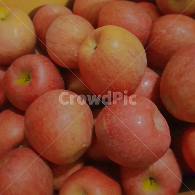 plant,식물,fruit,과일,food,식품,사과,apple,과일,열매,fruit
