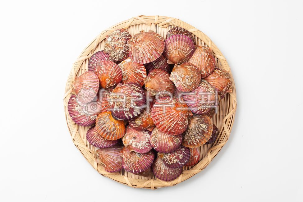 홍가리비,가리비,바다,빨간색,해양,조개,요리,음식,수산물요리,맛있는,조개구이,수산물,해산물