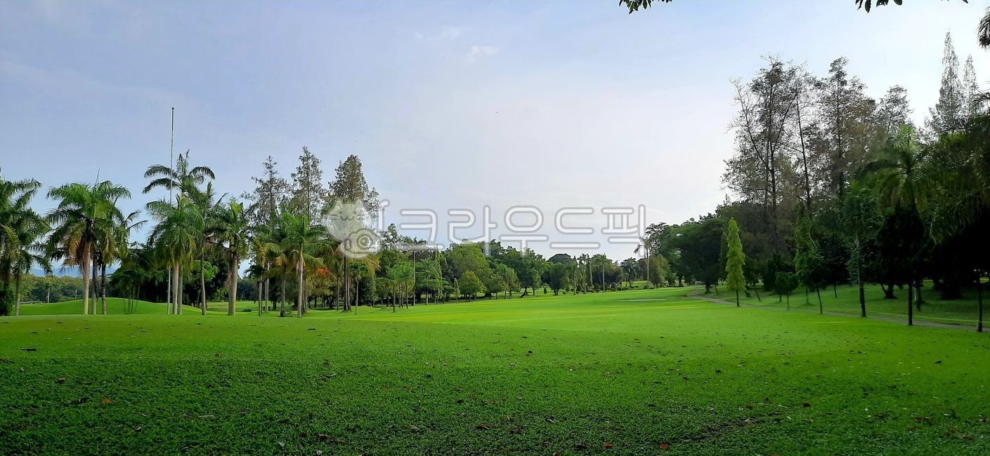 인도네시아골프장,동남아골프,골프코스,필드,field,golfcourse,페어웨이,fairway