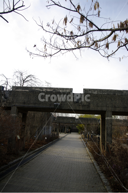 겨울,나무,공원,식물,plant,길,건축물,건물외관,exterior,building,structure,architecture,construction