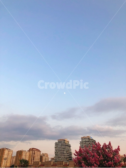 달,하늘,해질녘,풍경,초저녁,배경