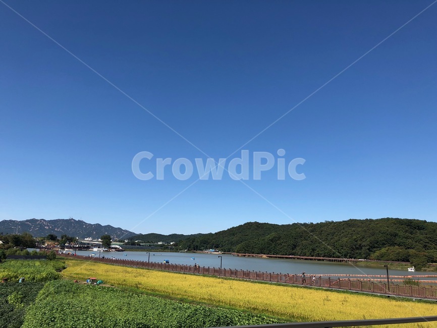 grass,잔디,plant,식물,outdoors,옥외,nature,자연,들판,하늘,한국,가을,sky,korea,자연,풍경,nature,landscape