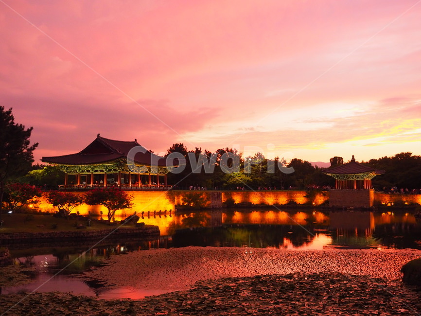 경주,안압지,야경,관광지,연못,야경,밤,풍경,nightscape,night,landscape,한국전통,한국문화,korean traditional,korean culture,랜드마크,landmark,tourist attraction,한국랜드마크,한국관광지,한국명소,korea landmark,korea tourist attraction,건축물,건물외관,exterior,building,structure,architecture,construction,nature,자연,outdoors,옥외,건물