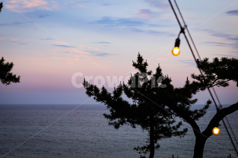 바다,노을,해변,하늘,감성사진,ocean,beach,sea,water,sunset,tree,light,sentimental,cloud,sky,night,color,pink,전구,전등,나무,저녁,여름,불빛,밤바다,해질녘,blue,구름,푸른,색깔,그라데이션