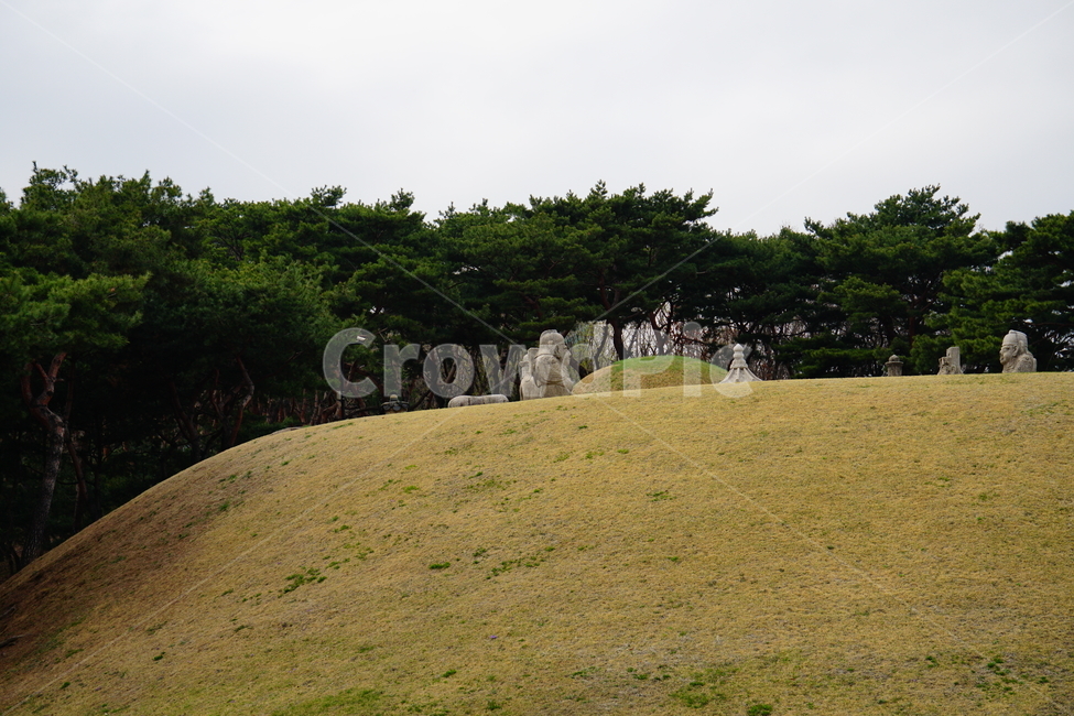 선릉,선정릉,서울,강남구,선릉역,선정릉역,한국,korea,seoul,왕릉,조선왕릉,조선시대,조선왕조,한국문화,한국전통,문화재,유산,유적,문화,전통,무덤,중종대왕릉,중종,임금,역사,히스토리,history,나무,숲,숲속,tree,4월,april,봄,spring,계절,season,한국풍경,풍경,landscape,자연,nature,조선,공원,산책,잔디,잔디밭,언덕,국사,한국사,한국역사,석상,자연,풍경,nature,landscape,한국자연풍경,한국자연경관,korea nature landscape,한국전통,한국문화,korean traditional,korean culture,grassland,목초지,outdoors,옥외,field,들