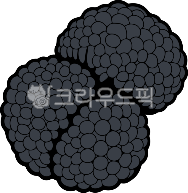 트러플,truffle,송로버섯,송로,버섯,mushroom,머시룸,머쉬룸,서양송로,서양,버섯류,식용,식용버섯,양송로,일러스트,컬러,검은색,검은