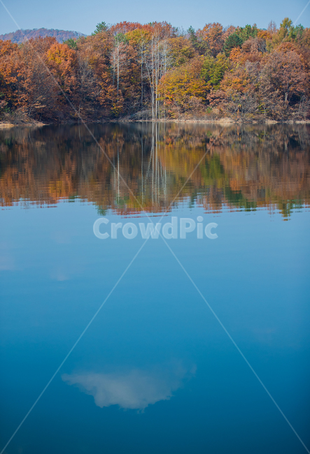 water,물,nature,자연,outdoors,옥외,lake,호수