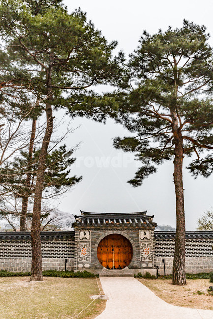 용인호암미술관,읍청문,관광지,랜드마크,적송,소나무,장송,한국전통,한국문화,korean traditional,korean culture