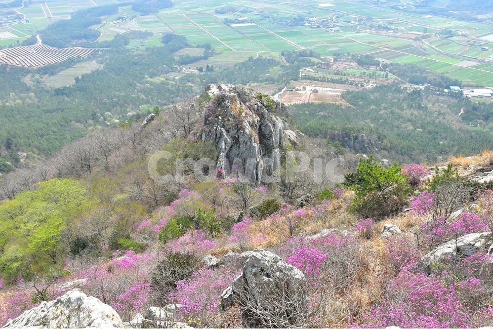 주작산,덕룡산,종주,진달래,풍경,기암,바위,비경,봄풍경,진달래꽃,강진,명산,산행,등산,마운틴,힐링,mountain,landscape,자연,natural,봄,계절,spring,season,자연,풍경,nature,landscape,한국자연풍경,한국자연경관,korea nature landscape,slope,경사,outdoors,옥외
