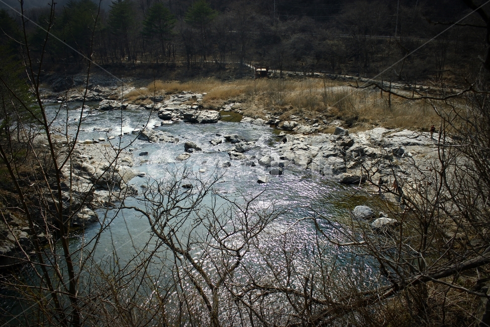 강,연못,물,자연,두타연,감성,풍경,river,green,nature,landscape,tree,나무,자연,풍경,nature,landscape,outdoors,옥외,land,땅,water