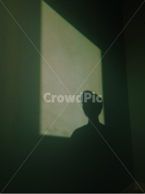 실루엣,사람,그림자,빛,창문,silhouette,person,여자,woman,womyn,window,shadow,범인,녹색,초록,초록색,네모,사각형,사람그림자,개인,고독,방,사람,인물,인간,human,person,인물실루엣,사람실루엣,character silhouette,human silhouette