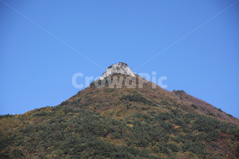팔봉,천황산,가을,mountain,자연풍경,영남알프스,산,자연,풍경,nature,landscape,outdoors,옥외,grassland,목초지,field,들