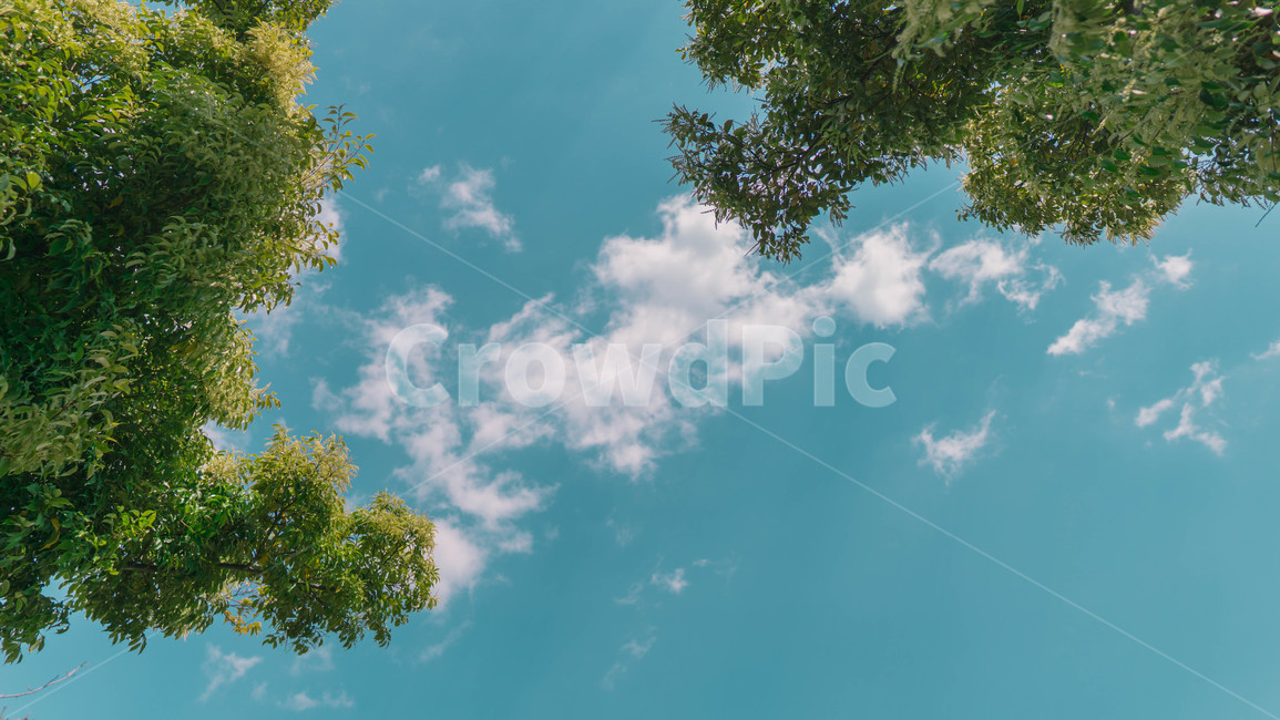 하늘,구름,하늘색,감성사진,자연,풍경,naturelandscape,감성,색상,색감,colorsense,colorsensitivity,feelingofcolor,cloudy,peace,blue,light,nature,cloud,view,sky