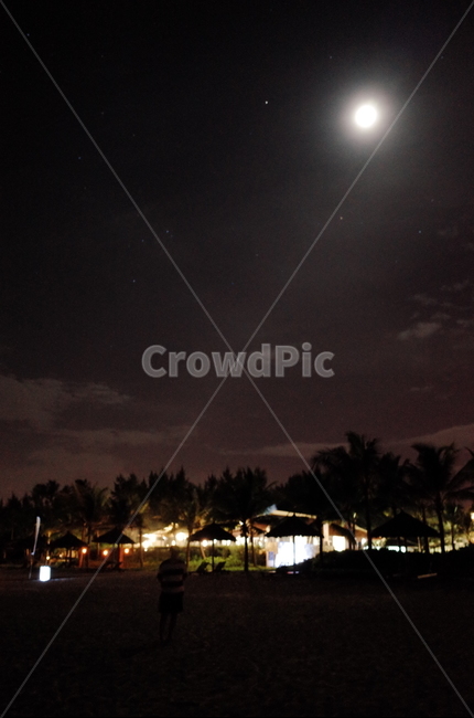 달빛,달,야경,야자수,밤,야경,밤,풍경,nightscape,night,landscape,nature,자연,outdoors,옥외