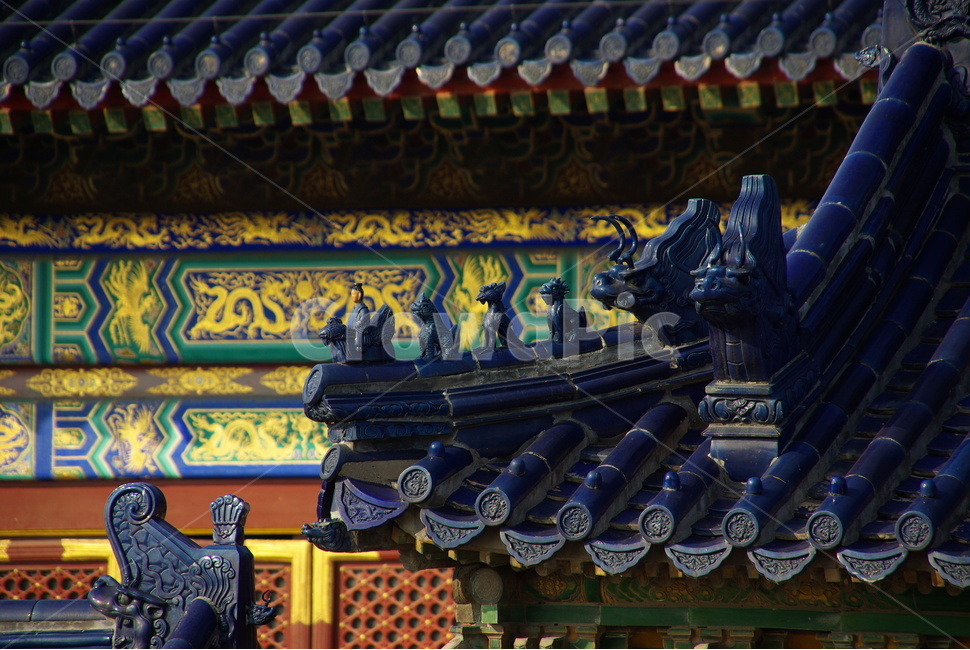 중국,북경,베이징,천단공원,가옥,나무,풍경,china,beijing,색감