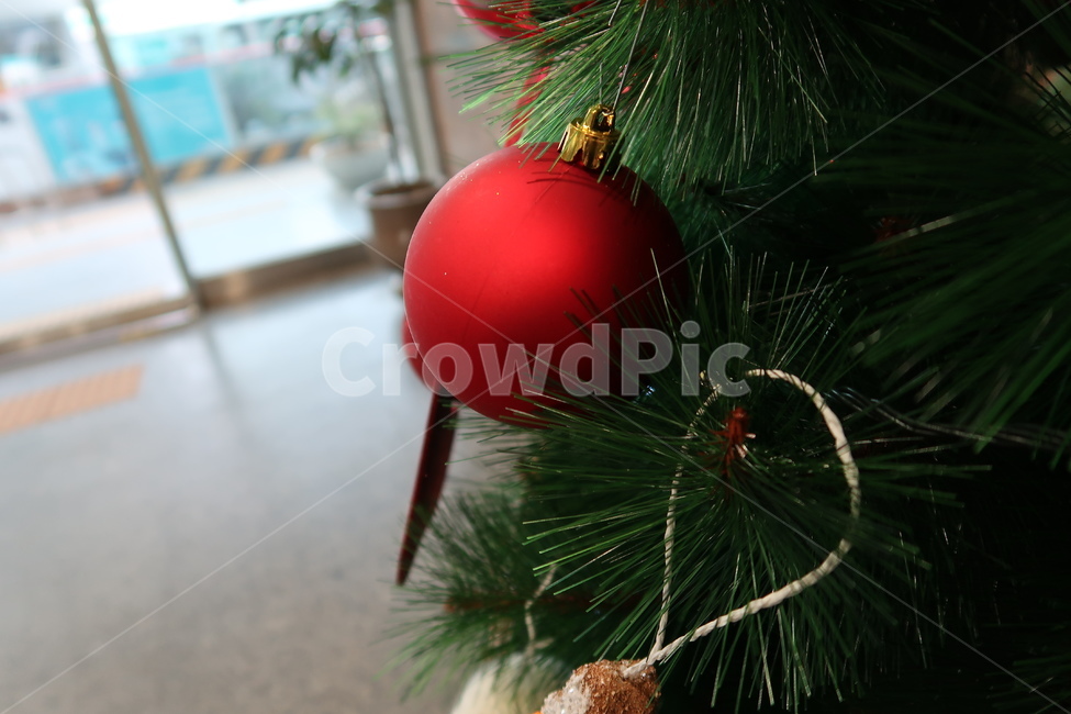 공간,트리,나무,방울,소나무,겨울,계절,winter,season,메리크리스마스,성탄절,merry christmas
