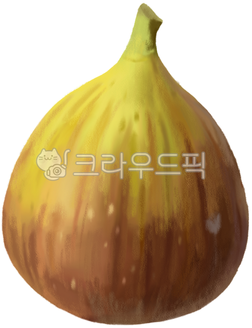 Figs,tropical fruit,vascular health,immune system booster,skin health,blood sugar control,superfood,organic,salad,dessert,fruit,summer fruit,fall fruit