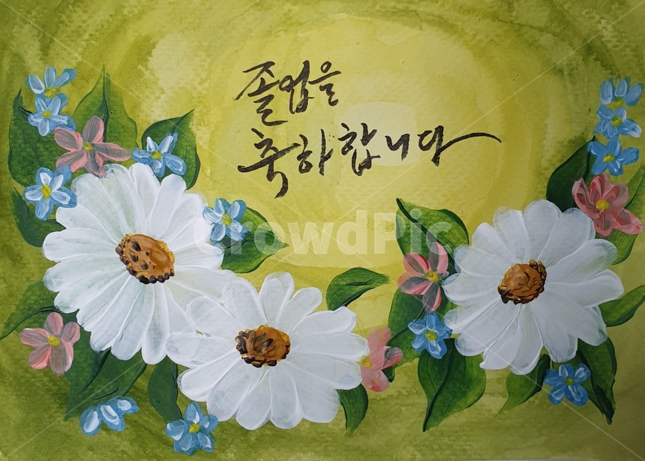 데이지,꽃그림,졸업,졸업축하,졸업축하캘리그라피