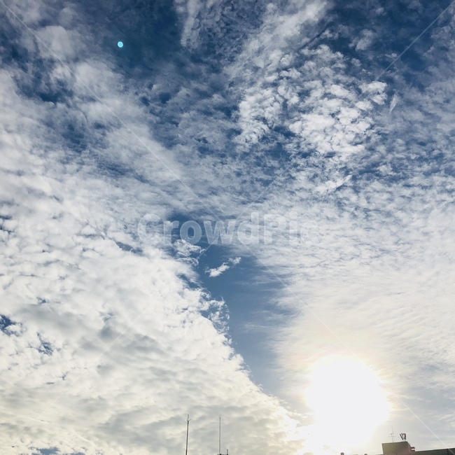 cloud,sky,blue sky,sunlight,swarm of clouds,Sunny