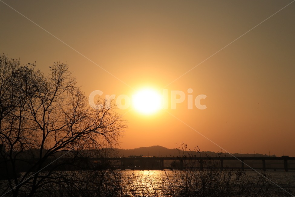 노을,석양,한강,역광,나무,sunset,backlight,hanliver,자연,풍경,nature,landscape,outdoors,옥외,sunlight,햇빛,sky,하늘,dusk,황혼,일몰,dawn,새벽,red sky,붉은 하늘