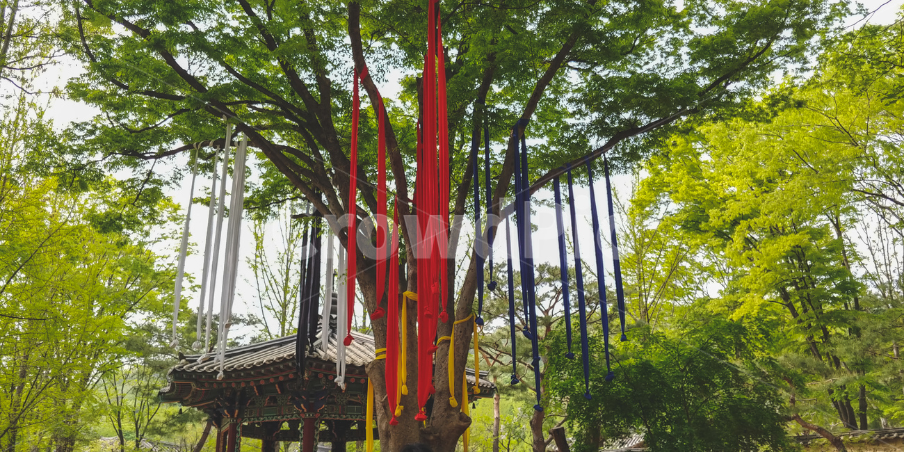한국민속촌,서낭당,수호수,성황당,당산나무,한국문화,전통문화