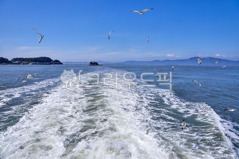 blue sky,flock,flock of seagulls,ship,scenicviews,birds,sea,beaches,cruiseships,blue sea,bird,animals,blueseas,cruise ship,island,waterway,boats,blueskies,outdoor,seas,seagulls,outdoors,islands,wings,beach,animal,sealanes,landscape