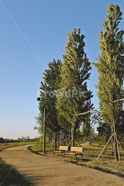 나무,하늘,파란하늘,tree,sky,bluesky,산책로,벤치