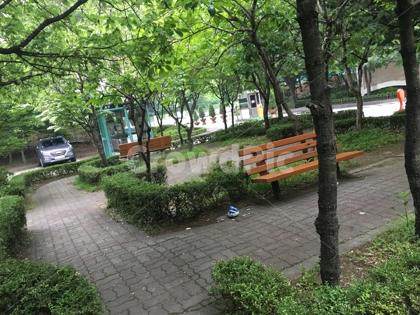 나무,풍경,tree,식물,벤치,bench,가구,furniture,flagstone