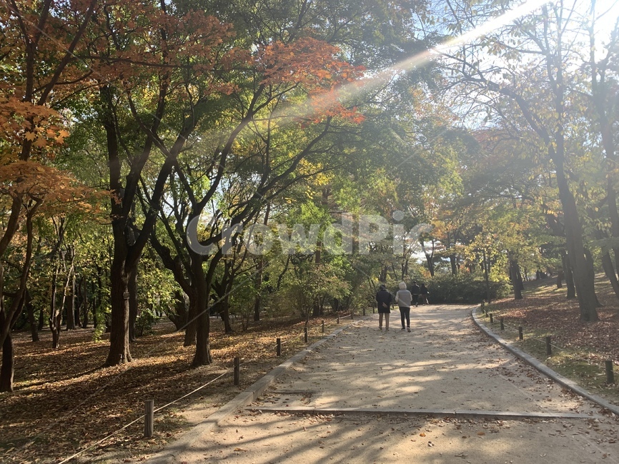 human,인간,person,사람,식물,나무,자연,정원,plant,풍경,산책로,산책길