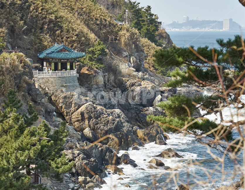 낙산사,불교,종교,절,해안가,바닷가,나무,산,바위,파도,기와,처마,한옥,자연