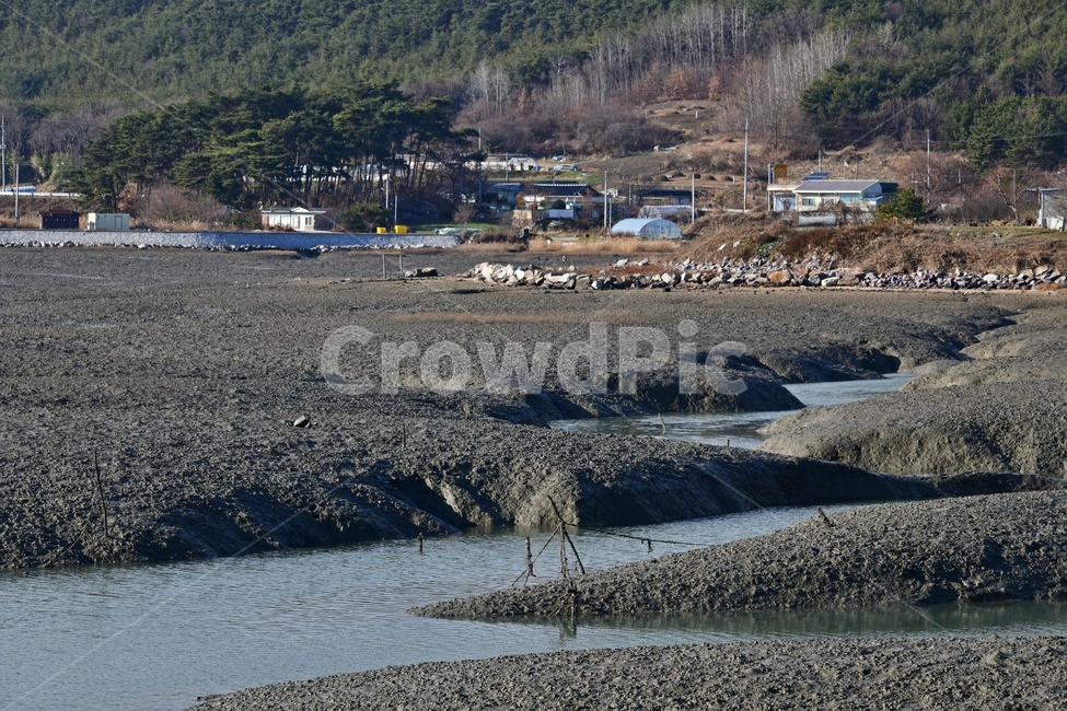 전북,부안,곰소,갯벌,물길,썰물,환경,dirtroad,흙길,모래톱,자연,해안,마을,집,자연,풍경,nature,landscape