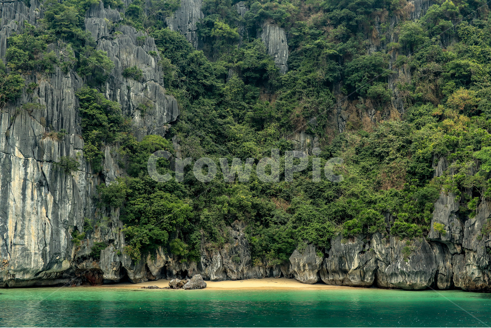 해변,여름,바다,나무,절벽,암벽,nature,자연,물,shoreline,해안선,ocean,감성,감성사진,분위기,자연,풍경,nature,landscape
