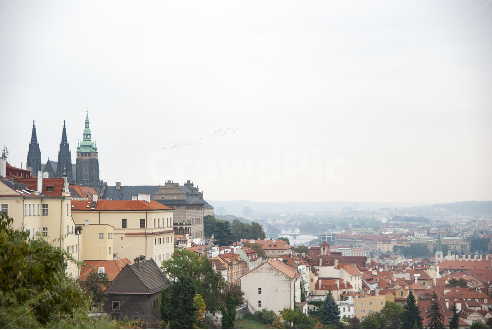 프라하성,프라하대성당,vituscathedral,프라하성당,프라하전경,프라하,praha,prague,czech,체코,블타바강,vltava,비투스,비투스대성당