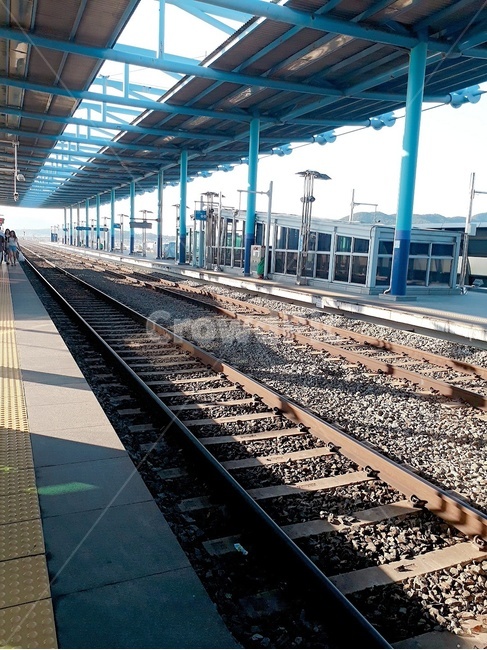 vehicle,rail,레일,railway,철도,교통,기찻길,기차,출근,추억,green,train
