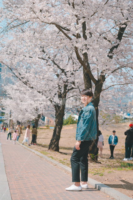 남자,인물,벚꽃,봄,man,봄,계절,spring,season,사람,인물,인간,human,person,남성,남자,man,male,plant,식물,flower,꽃,blossom