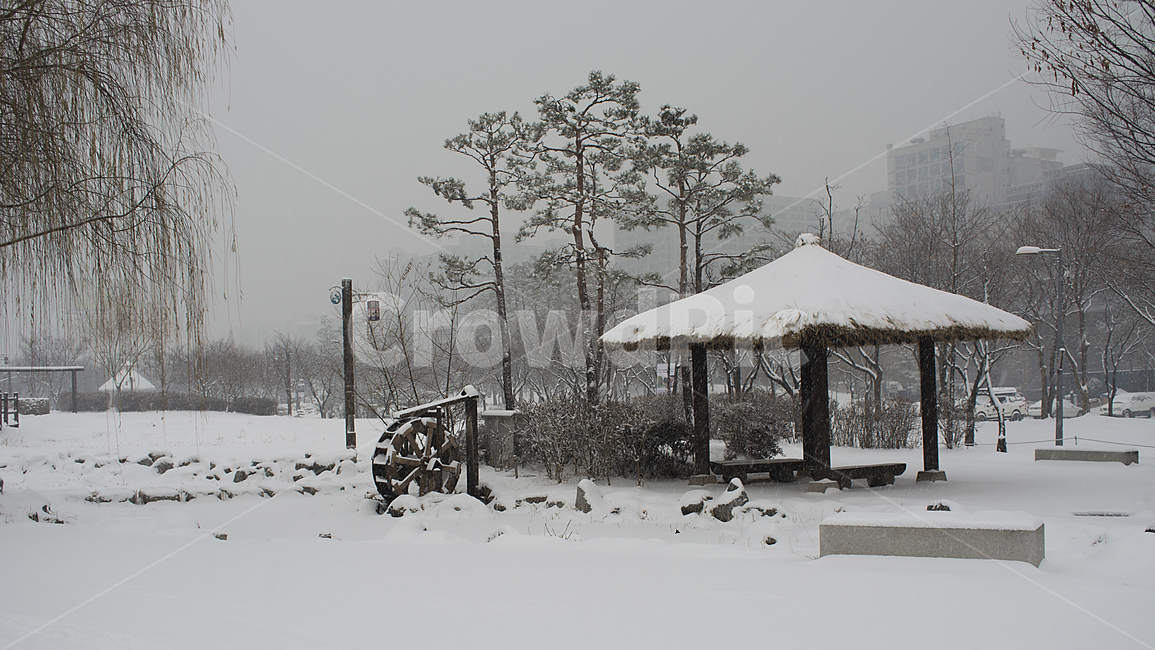 눈발,백설,눈길,흰눈,겨울풍경,겨울,계절,winter,season