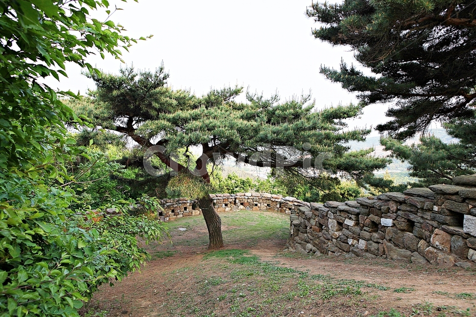 성,전등사,성곽,둘레길,돌담,풍경,배경,자연