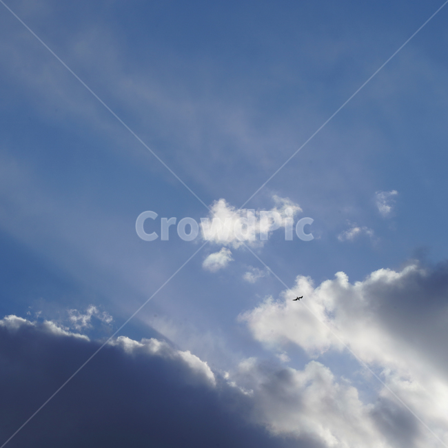 nature,자연,azuresky,푸른하늘,sky,하늘,새,배경,구름배경