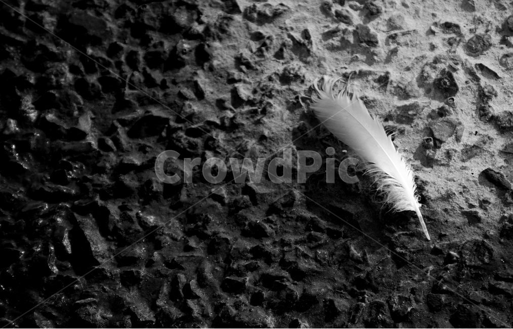 감성,깃털,외로움,바다,흑백,어두움,혼자,darkness,feather,plume,sea,blackwhite,흑백,모노톤,monochrome,black and white