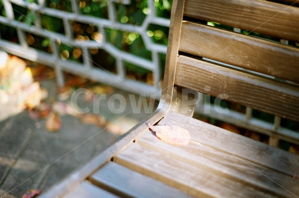 필름사진,감성사진,기다림,풍경사진,가을,가을,계절,fall,autumn,season,휴식,힐링,rest,relaxation,healing,wood,나무,plywood,합판