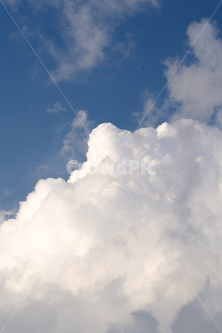 구름,하늘,cloud,sky,자연,nature,날씨,뭉개,여름