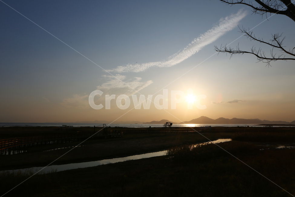 nature,자연,잔디,water,다대포,고우니생태길,일몰,자연,풍경,nature,landscape